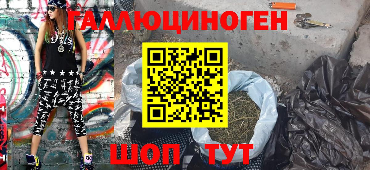 Галлюциногенные грибы Psilocybine cubensis Сарапул